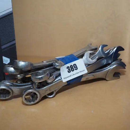 bundle of open and ring spanners