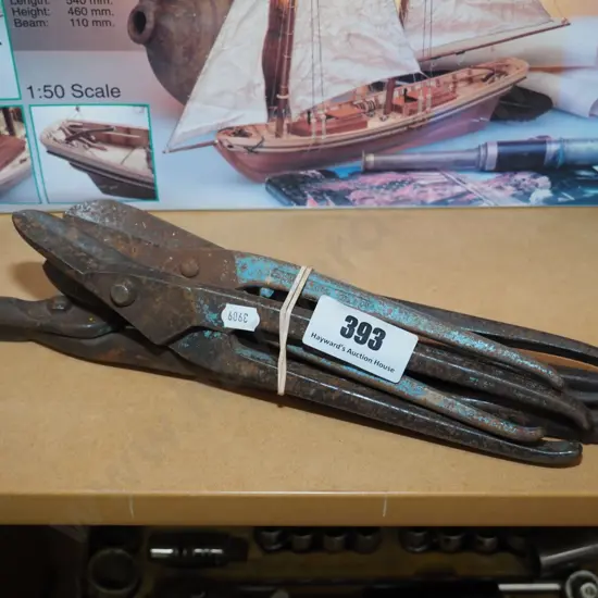 bundle of tin snips