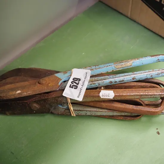bundle of tin snips