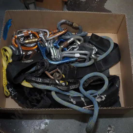 aborist's harness and shackles