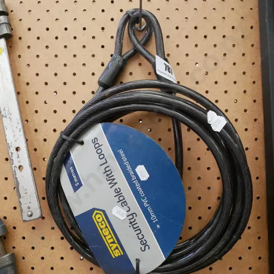 security cable with loops