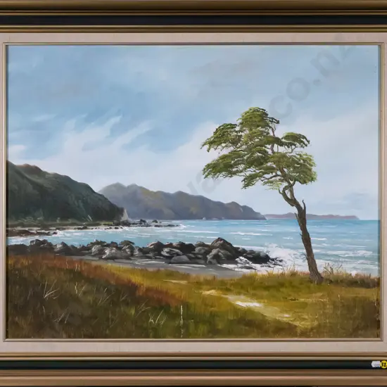 Michael Finnerty '88 - framed oil "Kaikoura Coast" H-550 W-700