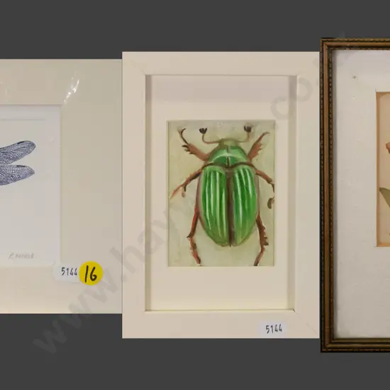 2x framed watercolours - beetle, flowers, mounted etching - dragonfly H-90 W-120