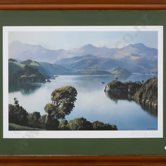 framed Grahame Brinsley ltd edition print 267/450 "Dunedin" H-380 W-580