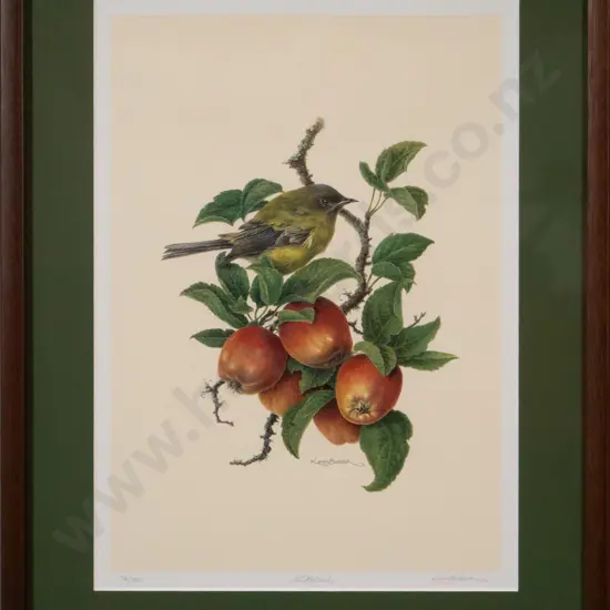 framed Karen Baddock ltd edition print 54/550 "NZ Bellbird" H-350 W-250