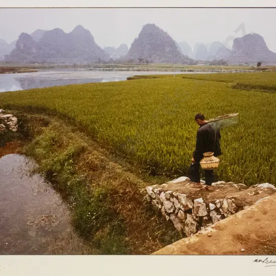 Matheson Beaumont - unframed photograph - paddy fields, China H-250 W-350