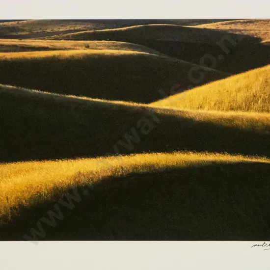 Matheson Beaumont - unframed photograph - grasses on hillside H-240 W-350