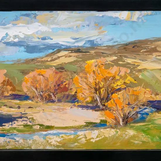 Lynley van Alphen - framed oil "Taieri River from Waipiati Central Oago" H-250 W380