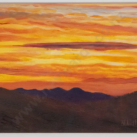 Liz Abbott 2015  - framed oil "Waianakarua Sunset I" H-130 W-170