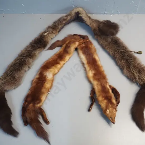 2 fox fur neck pieces - longer one is L1860