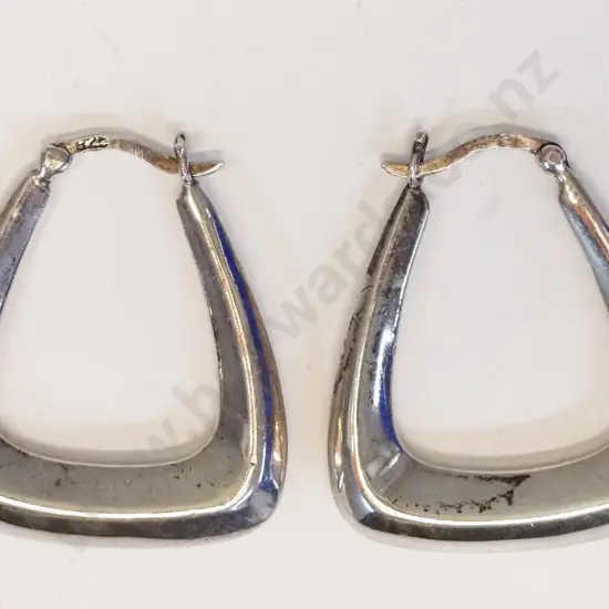 pair of hoop silver earrings stamped 925