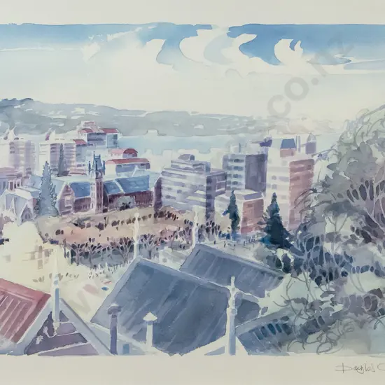 Douglas Chowns - framed ltd edition print 84/350 - Dunedin scene H-400 W-610