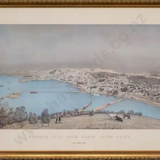 framed historic print - Dunedin 1883, From Black Jack's Point H-310 W-570
