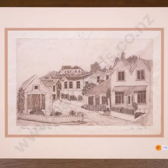 John Clere - framed ltd edition print 53/80 "Thorndon, Wellington" H-200 W-320