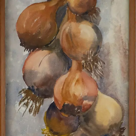 Lindsay Thompson framed watercolour, onions H-560 W-270
