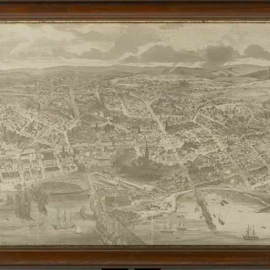 framed reproduction woodblock print, Dunedin 1875 H-340 W-640