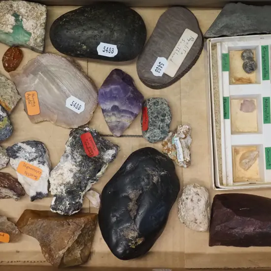 assorted mineral samples, pieces of pounamu, agate, quartz, kauri gum, etc.