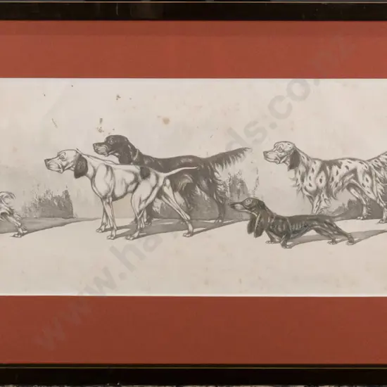 framed vintage print - dogs (foxing and creasing) H-160 W-410