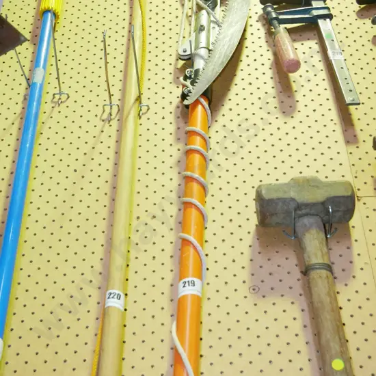 extending pole pruner lopper