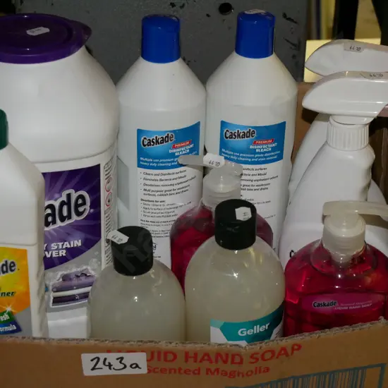 box of household cleaners, soap, bleach