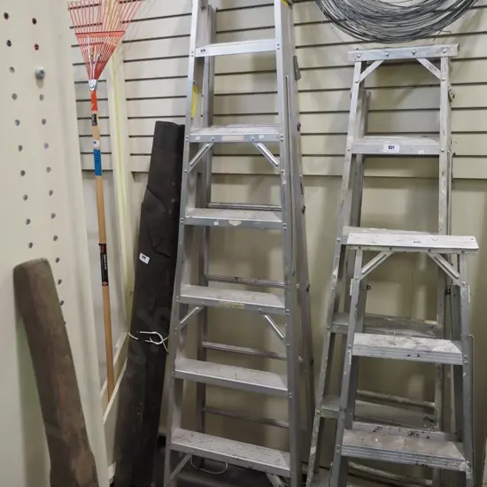 6 step alco aluminium ladder
