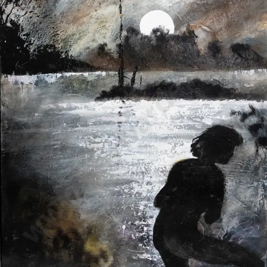 Susie Ruddenklau - boxed acrylic "Midnight Rendezvous" H-760 W-510