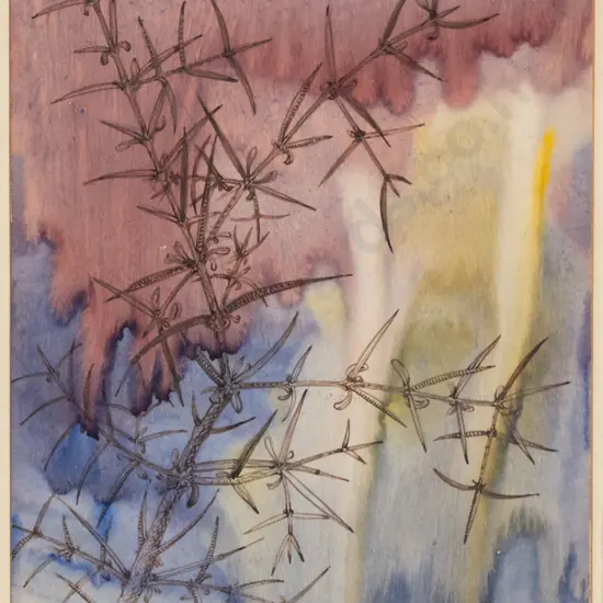 Audrey Bascand - framed ink and watercolour "Matagouri" H-260 W-180