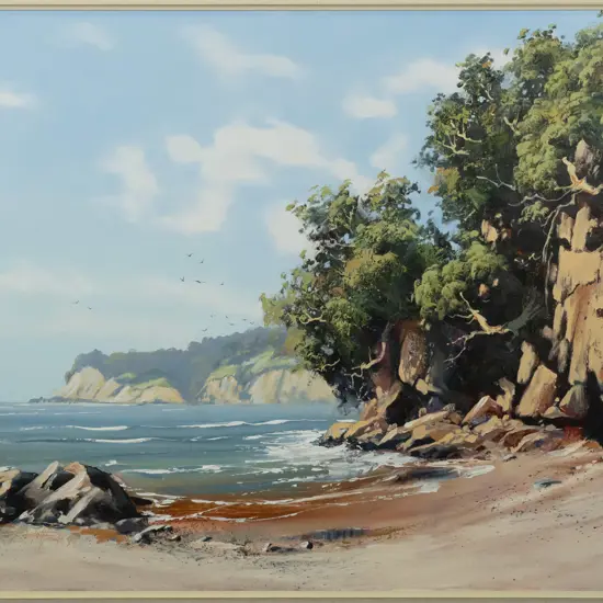 Randall Froude '90 - framed oil on canvas - coastal scene H-590 W-740