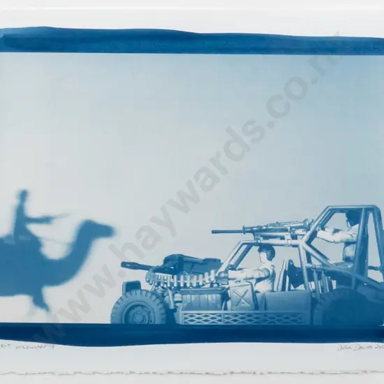 Julia Davies 2008 - framed cyanotype "Desert Encounters I" H-350 W-510