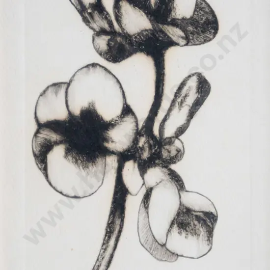 Gillian Pope - framed etching - flowers H-150 W-95