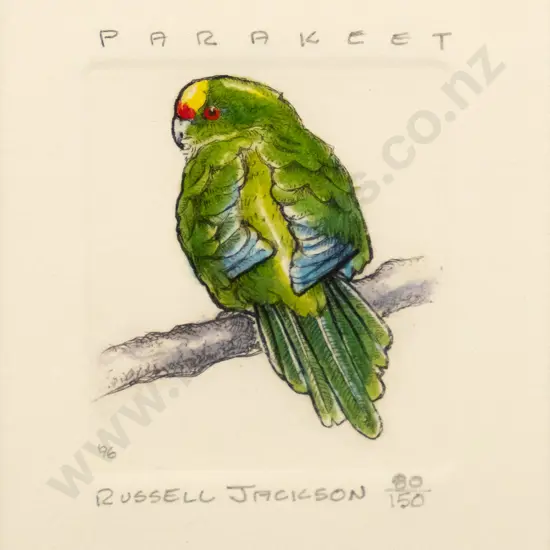 Rusell Jackson - framed ltd edition print 80/150 :Parakeet" H-70 W-55