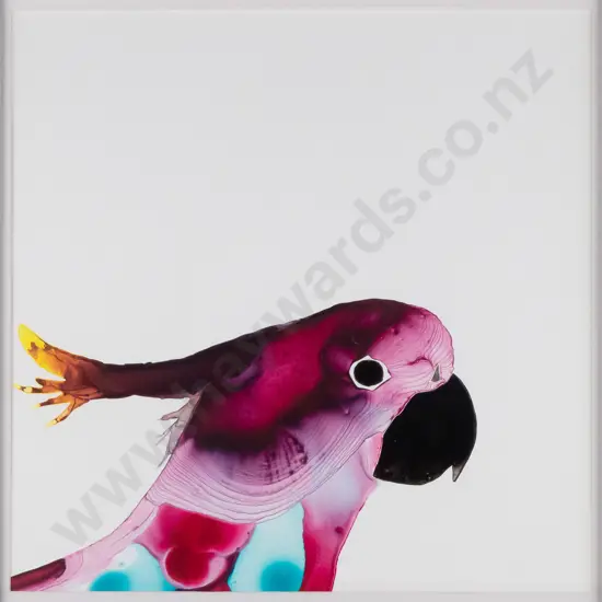 Susan Skelton - framed acrylic - cockatoo