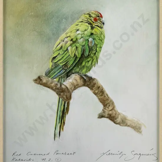 Merrilyn Jaquiery 1991 - framed watercolour "Red Crowned Parakeet, Kakariki" H-280 W-230
