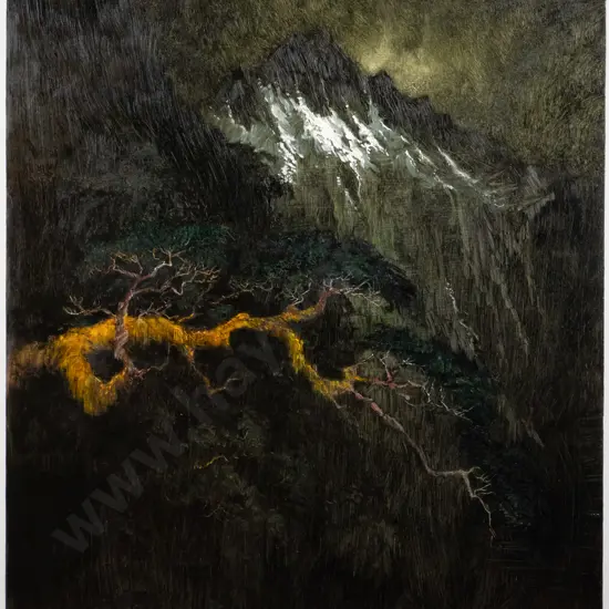 Wallace T Keown 2004 - framed oil "Rain Forest, Fiordland" H-715 W-560