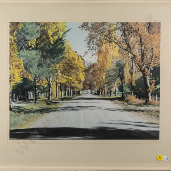framed whites Aviation hand coloured photograph "Arrowtown Road' H-285 W-360