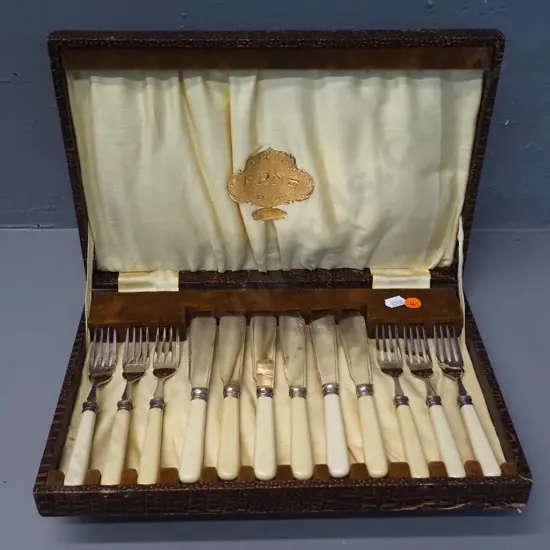 cased set of bone-handled EPNS fish knives and forks