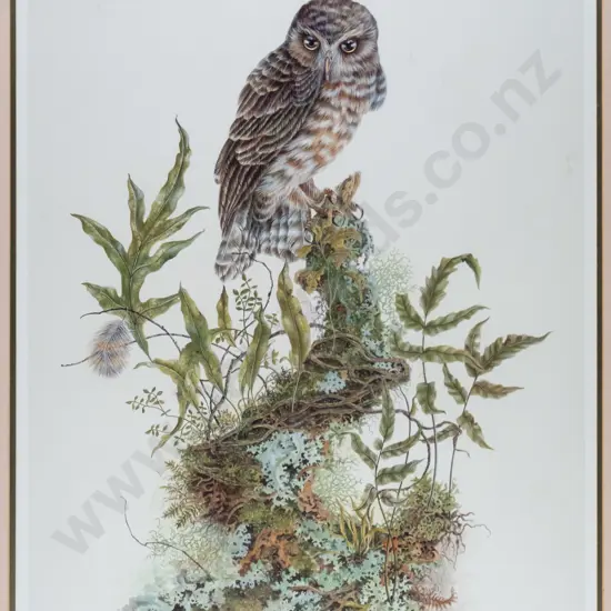 Karen Baddock - framed limited edition print 50/250 "N.Z. Morepork" H-555 W-390 - underside of glass needs cleaning