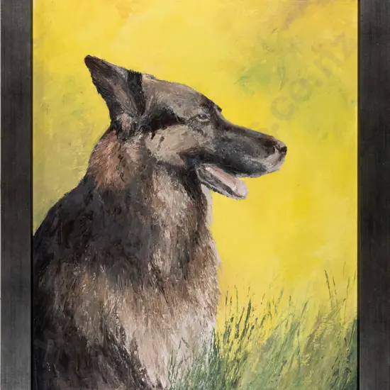 DT Mathias - framed oil on canvas - alsatian H-600 W-440