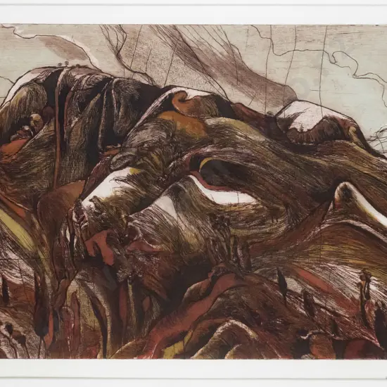 Stanley Palmer 1972 - framed etching?- "Huia" H-320 W-540