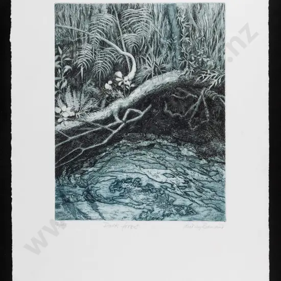 Audrey Bascand - framed ltd edition print 16/40- "Dark forest" H-320 W-250