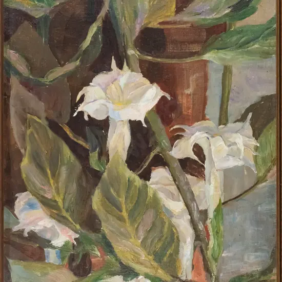 Eana Blythe Jeans - framed oil - "Datura" H-550 W-440