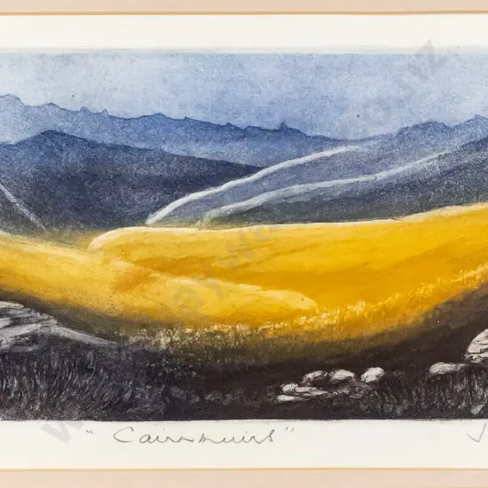 Joan Hardey -framed etching & aqua tint 3/20- "Cairnmuris" H-120 W-320