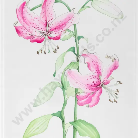 Takako -framed watercolour- "Kanoko Yuri" H-230 W-150