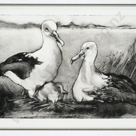 Pauline Bellamy framed ltd edition print 3/10  Albatrosses  H-170 W-350