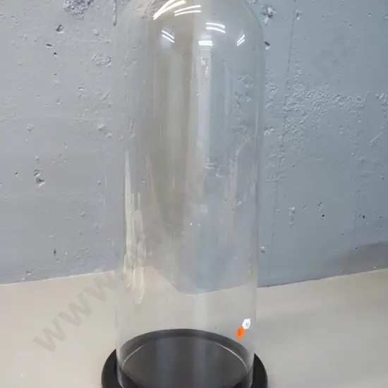 contemporary 'French Country' Victorian style tall glass display dome on painted MDF base H-490 D-200