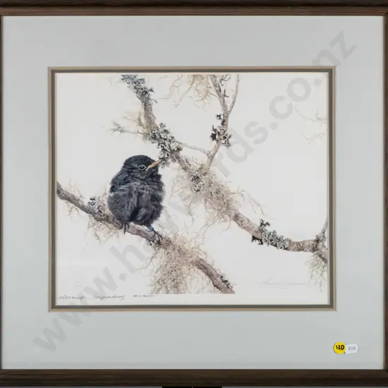 framed ltd edition Merrilyn Jaquiery print 161/600 - bird H-280 W-340