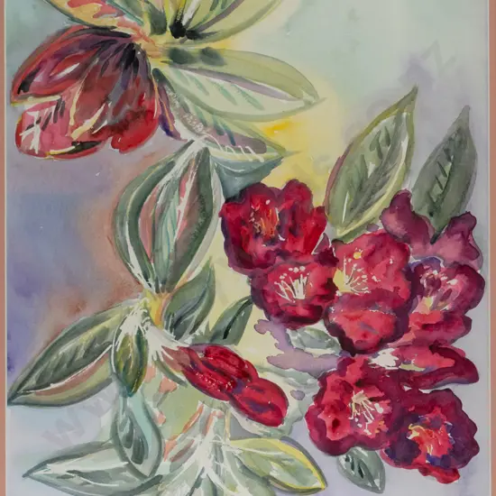 Lana Neumegen - framed watercolour - flowers H-540 W-370