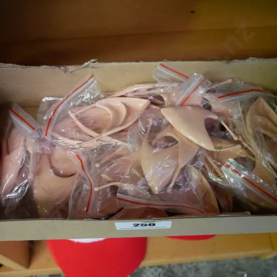 box of pixie ears