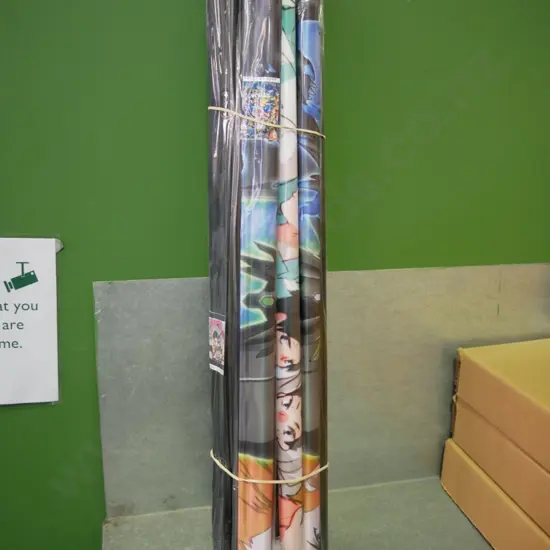 bundle of 10 wall hanging prints on scrolls