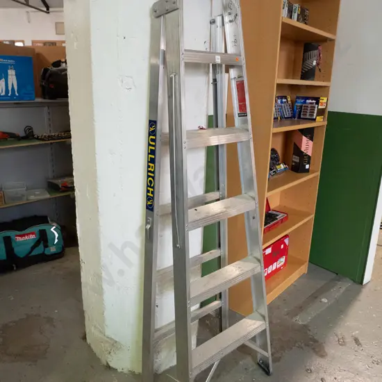5 step aluminum ladder